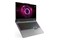 Laptop Lenovo LOQ 15 15.6" AMD Ryzen 7 250 Nvidia GeForce RTX 5060 16GB 512GB SSD M.2 Windows 11 Home szary