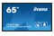 Monitor 64.5" IIYAMA TF6539AS-B1AG czarny