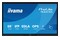 Monitor 65.0" IIYAMA TE6515A-B1AG czarny