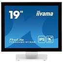 Monitor 19.0" IIYAMA T1932MSC-W1SAG biało-srebrny