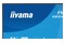 Monitor 24.0" IIYAMA XB2496HSC-B1 czarny
