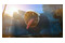 Biomutant Xbox One