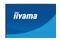 Monitor 27.0" IIYAMA XB2796QSC-B1 czarny