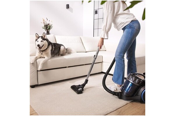 Odkurzacz Cecotec Conga Rockstar Animal tradycyjny z pojemnikiem 800W czarno-niebieski