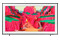 Telewizor Samsung QE85LS03 85" 4K Ultra HD