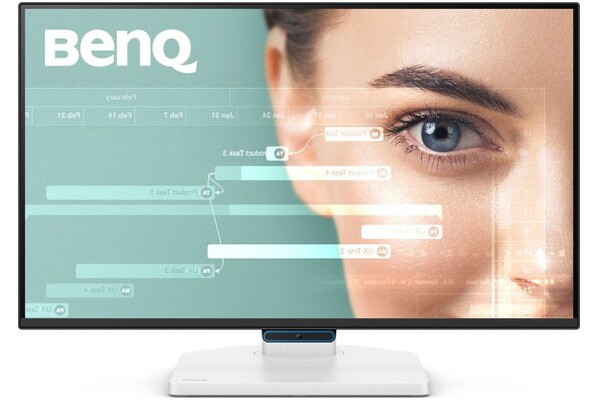 Monitor 23.8" BenQ GW2490TC biały