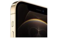Smartfon Apple iPhone 12 Pro 5G złoty 6.10" 6.0GB/128.0GB