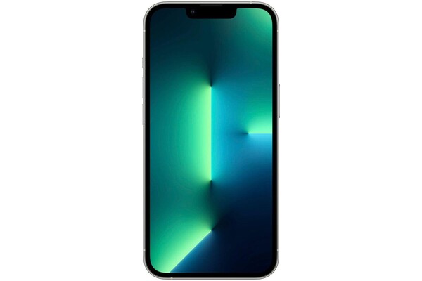Smartfon Apple iPhone 13 Pro 5G srebrny 6.10" 6.0GB/1000.0GB