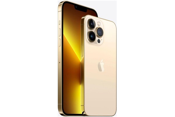 Smartfon Apple iPhone 13 Pro 5G złoty 6.10" 6.0GB/1000.0GB