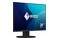Monitor 23.8" EIZO FlexScan EV2400R czarny