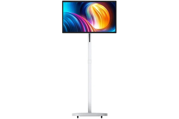 Monitor 27.0" Dahua Technology LM27-U200PM Biało-szary