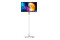 Monitor 27.0" Dahua Technology LM27-U200PM Biało-szary