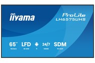 Monitor 64.5" IIYAMA LH6575UHS-B2AG czarny