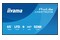 Monitor 64.5" IIYAMA LH6575UHS-B2AG czarny