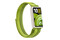 Smartwatch Huawei Band Pro zielony