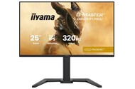 Monitor 24.5" IIYAMA GB2591HSU-B1 czarny