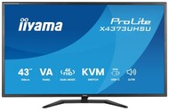 Monitor 43.0" IIYAMA X4373UHSU-B2 czarny