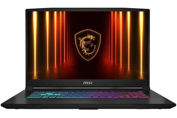 Laptop MSI Katana 17 17.3" Intel Core i7 14650HX Nvidia GeForce RTX 5060 16GB 512GB SSD czarny