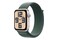 Smartwatch Apple Apple Watch SE 2 Aluminium Case Górskie jezioro