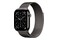 Smartwatch Apple Watch Series 11 Cellular Tytan Case łupek