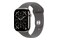 Smartwatch Apple Watch Series 11 Cellular Tytan Case Górska szarość