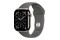 Smartwatch Apple Watch Series 11 Cellular Tytan Case szary