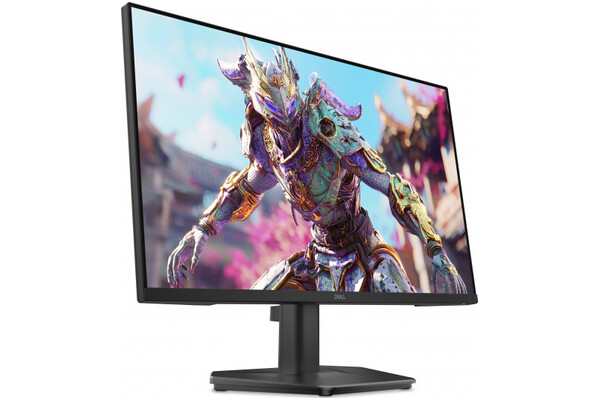 Monitor 23.8" DELL SE2426HG