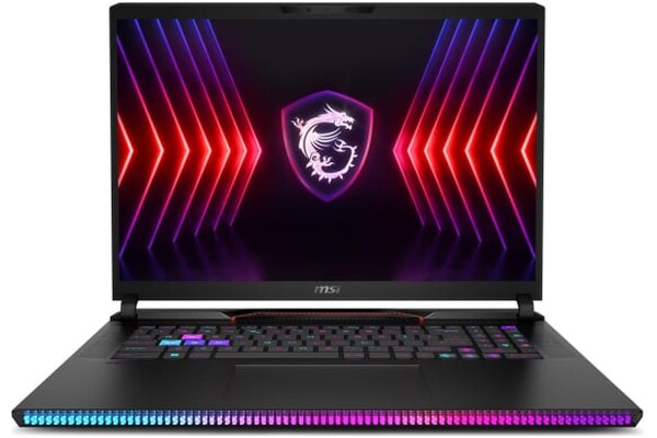 Laptop MSI Raider GE78 17.0" Intel Core i9 14900HX NVIDIA GeForce RTX 4080 32GB 2TB SSD M.2 Windows 11 Home grafitowy