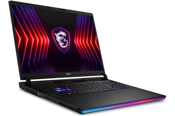 Laptop MSI Raider GE78 17.0" Intel Core i9 14900HX NVIDIA GeForce RTX 4080 32GB 2TB SSD M.2 Windows 11 Home grafitowy