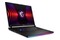 Laptop MSI Raider GE78 17.0" Intel Core i9 14900HX NVIDIA GeForce RTX 4080 32GB 2TB SSD M.2 Windows 11 Home grafitowy