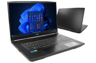 Laptop MSI Katana 17 17.3" Intel Core i5 12450H NVIDIA GeForce RTX 3050 32GB 1TB SSD Windows 11 Home czarny