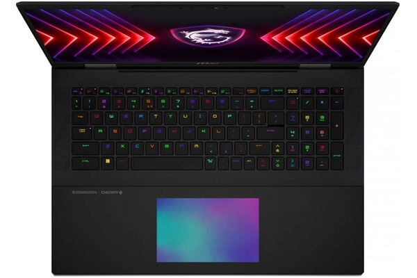 Laptop MSI Titan 18 18.0" Intel Core i9 14900HX NVIDIA GeForce RTX 4080 4GB 2TB SSD M.2 Windows 11 Home czarno-srebrny