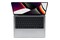 Laptop Apple MacBook Pro 14.2" Apple M1 Pro M1 16GB 1TB SSD M.2 macOS szary