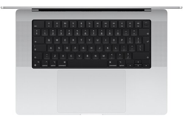 Laptop Apple MacBook Pro 16.2" Apple M4 Max M4 Max (40 rdz.) 48GB 1TB SSD macOS srebrny