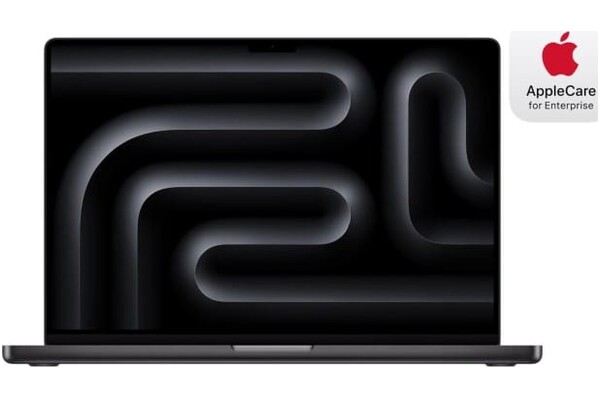 Laptop Apple MacBook Pro 16.2" Apple M4 Pro M4 Pro (20 rdz.) 24GB 1TB SSD macOS gwiezdna czerń