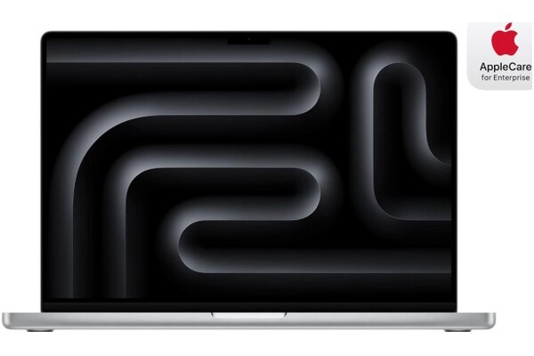 Laptop Apple MacBook Pro 16.2" Apple M4 Pro M4 Pro (20 rdz.) 24GB 1TB SSD macOS srebrny