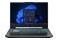 Laptop ASUS TUF Gaming A15 15.6" AMD Ryzen 5-7535HS NVIDIA GeForce RTX 2050 16GB 1TB SSD M.2 Windows 11 Home czarny