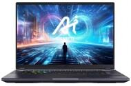 Laptop GIGABYTE Aorus 16X 16.0" Intel Core i7-13650HX NVIDIA GeForce RTX 4070 16GB 1TB SSD M.2 Windows 11 Home szary