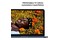 Laptop Apple MacBook Neo 13.0" Apple A18 Pro A18 Pro (5 rdz.) 8GB 256GB SSD macOS niebieski