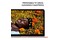 Laptop Apple MacBook Neo 13.0" Apple A18 Pro A18 Pro (5 rdz.) 8GB 256GB SSD macOS Subtelny róż