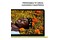 Laptop Apple MacBook Neo 13.0" Apple A18 Pro A18 Pro (5 rdz.) 8GB 256GB SSD macOS Cytrusowożółty
