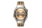 Smartwatch Huawei Watch GT 6 Classic Pro 46.0mm brązowy