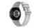 Smartwatch Samsung Galaxy Watch 4 Classic LTE 46.0mm szary