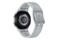 Smartwatch Samsung Galaxy Watch 6 LTE 44.0mm szary
