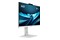 MSI Pro AP242P 14M-691EU Intel Core i5 32GB DDR5 Windows 11 Professional