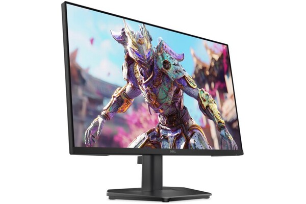 Monitor 24.0" DELL SE2426HG czarny