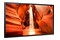 Monitor 55.0" Samsung LH55OMNESGBXEN czarny