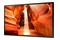 Monitor 55.0" Samsung LH55OMNESGBXEN czarny