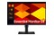 Monitor 24.0" Samsung LS24D402GAUXEN czarny