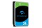 Dysk wewnętrzny Seagate Skyhawk HDD SATA (3.5") 24TB